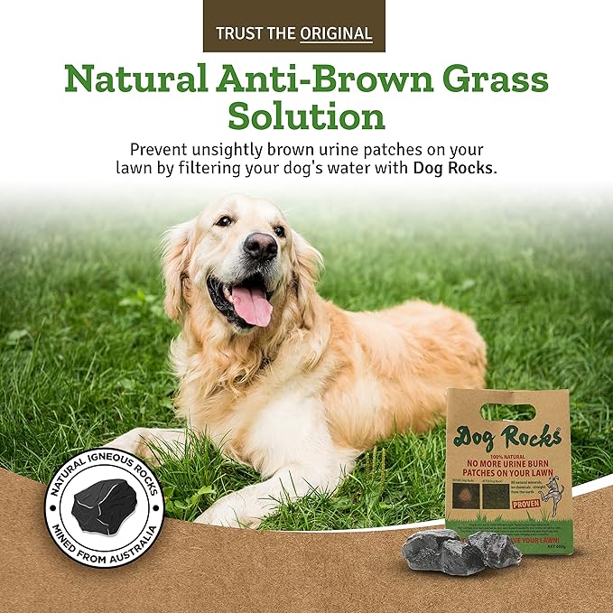 Dog Rocks Natural Grass Saver 600g Bag Stops Lawn Yellow Spots 6-Month Supply