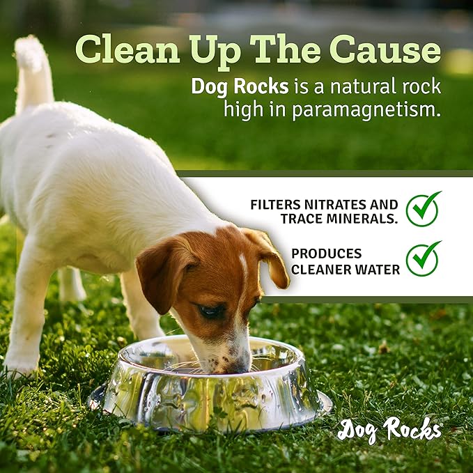 Dog Rocks Natural Grass Saver 600g Bag Stops Lawn Yellow Spots 6-Month Supply