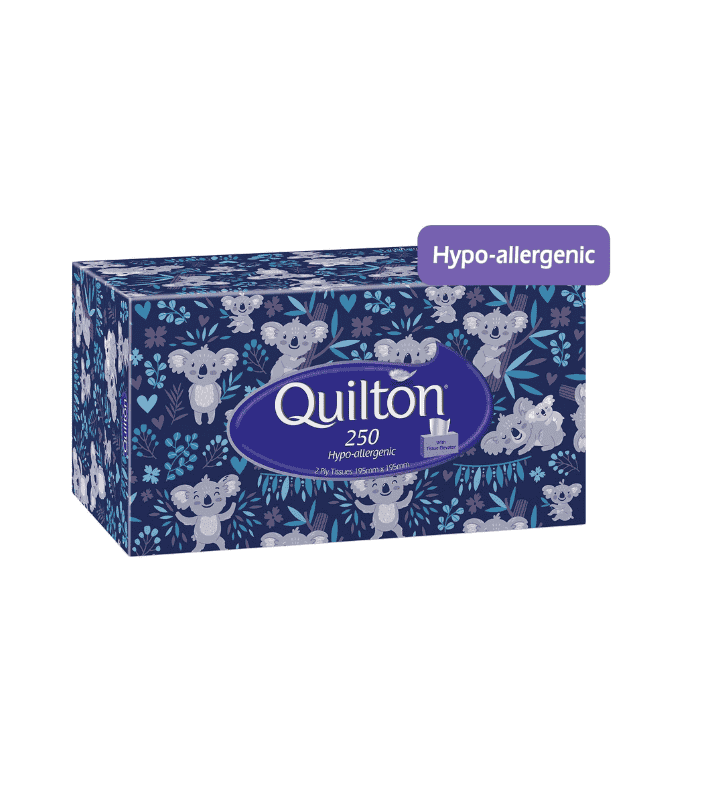 Quilton Pack of 12 Hypoallergenic 2-Ply Facial Tissues 250 Tissues per Pack