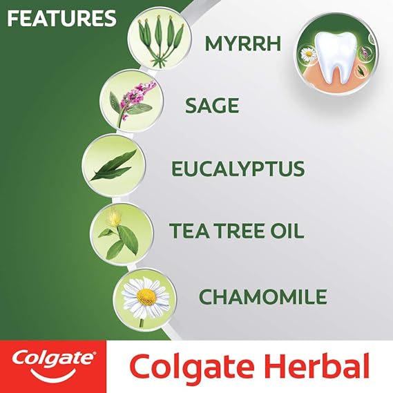 Colgate Herbal Toothpaste, 200 grams