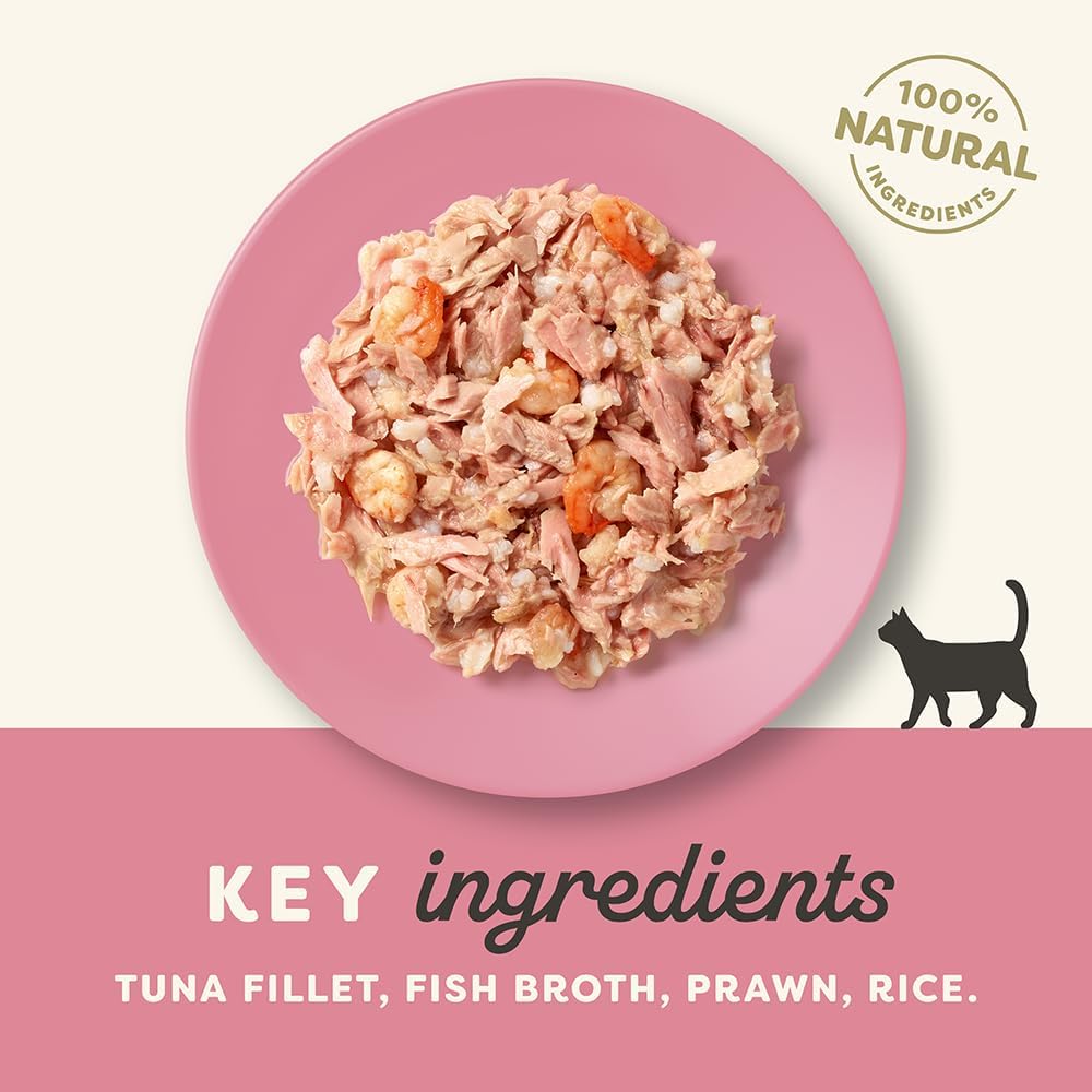 Applaws Tuna Fillet with Prawns Natural Wet Cat Food 24 Tins of 70g